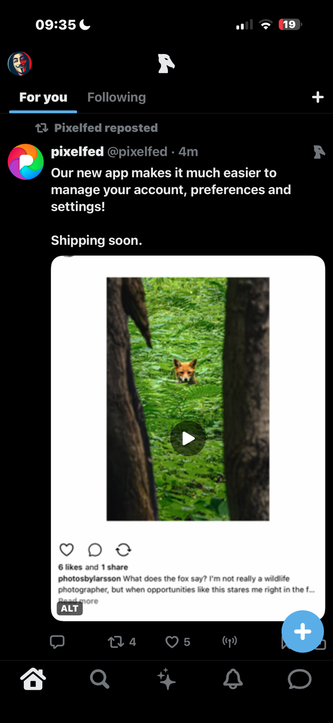 A post with an image and video attachment in the Shoebill feed.