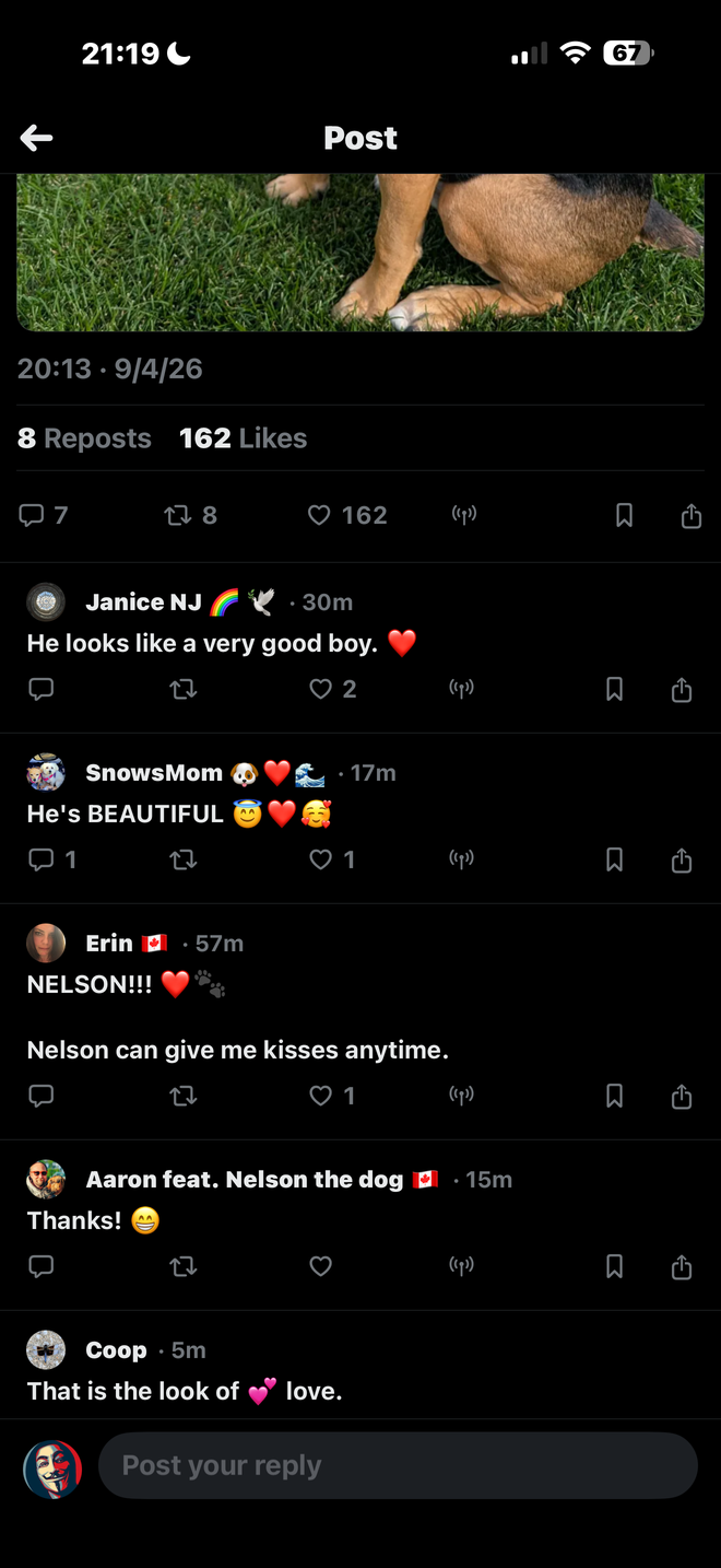 A post open in Shoebill with its reply thread underneath.